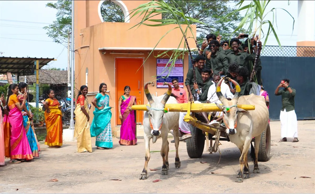 Pongal celebration 2026, photo 3 of 5